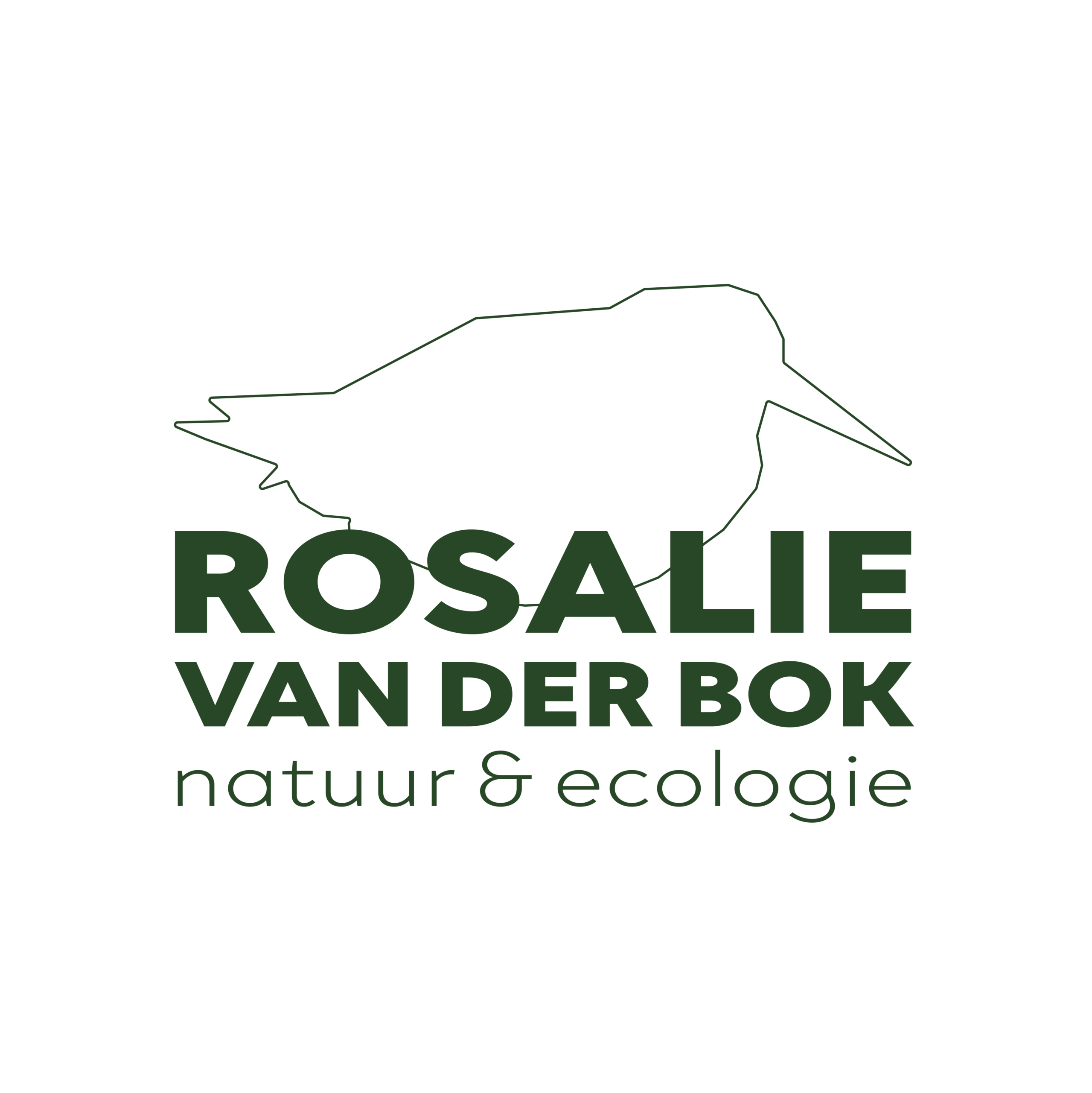 Rosalie van der Bok Fotografie
